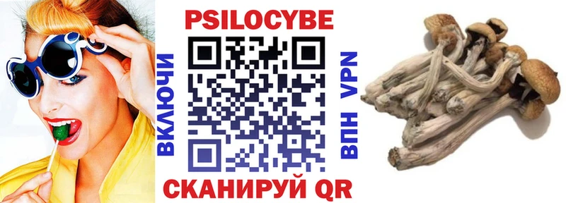 Псилоцибиновые грибы Psilocybe  купить наркотик  Кола 