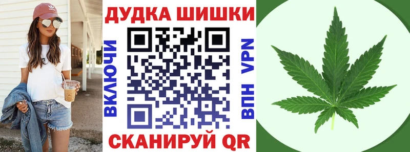 Бошки марихуана Amnesia  где купить наркоту  Кола 